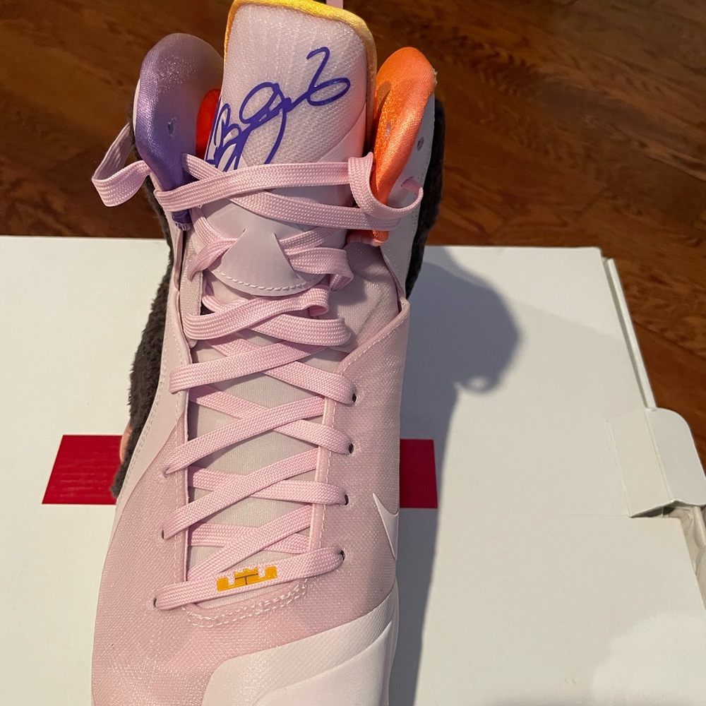 LeBron Nike
